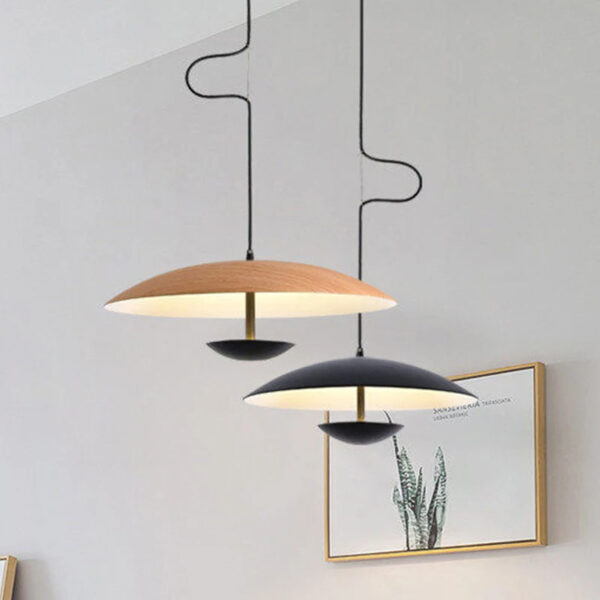 Scandinavische hanglamp met organisch silhouet